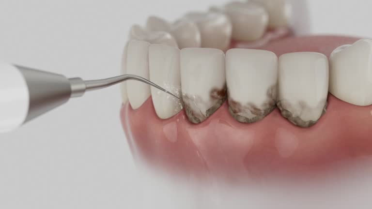 Reliable Dental contractor in Corrigan, TX by Dentist Open Now